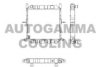 AUTOGAMMA 105290 Radiator, engine cooling